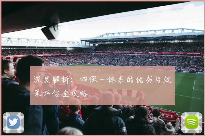 深度解析：四保一体系的优劣与效果评估全攻略