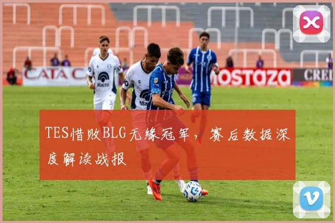 TES惜败BLG无缘冠军，赛后数据深度解读战报
